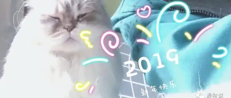 2018年宝宝猪小猪宝宝狗