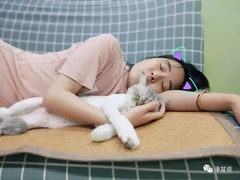 2018年宝宝猪小猪宝宝狗