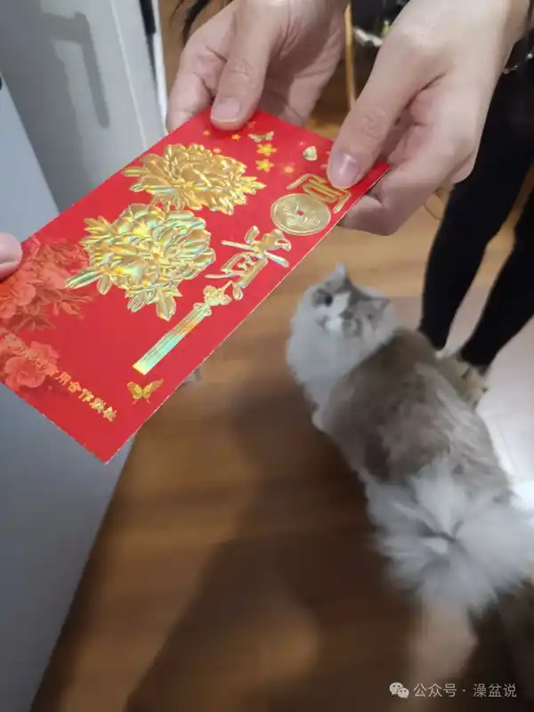 2024悄悄过去2025咻咻来了