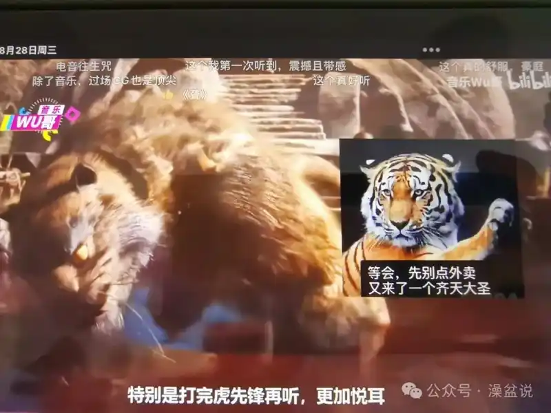 2024悄悄过去2025咻咻来了